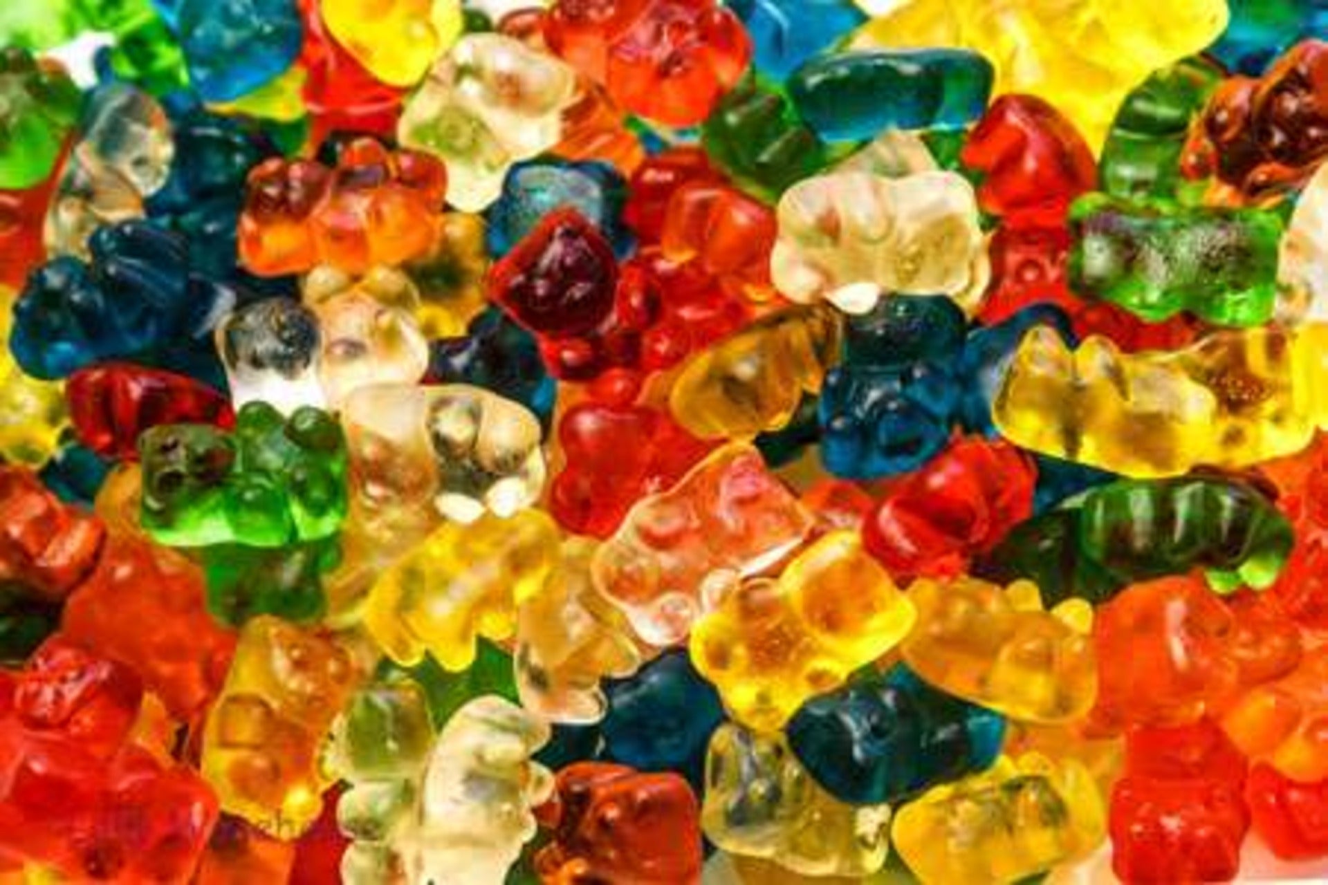 trolli gummy bears