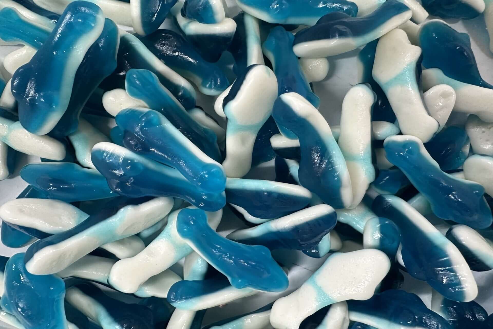 Gummy Sharks 