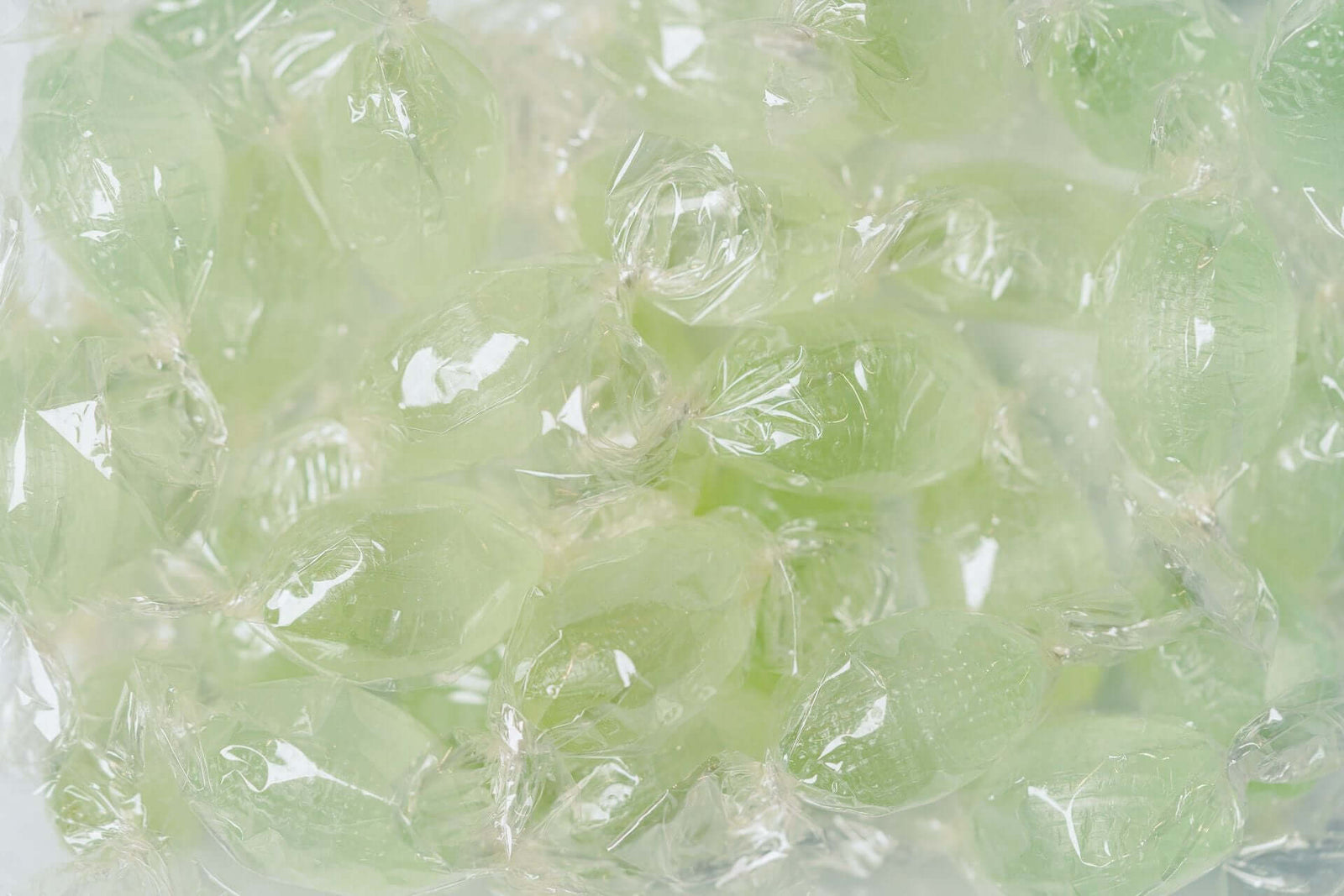 Lagoon Eucalyptus Wrapped